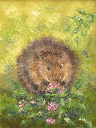 New Original Framed Painting Water Vole  Andi J Lucas  Wildlife Art photo furniture