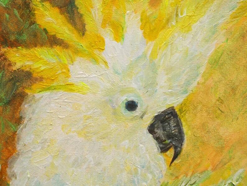 New Original Framed Signed Painting Cockatoo Andi J Lucas  Wildlife Art photo for sale