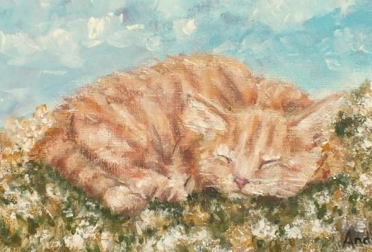Sleeping Ginger Blonde Cat  Summer Day Original Framed Painting Andi J Lucas photo 250.0