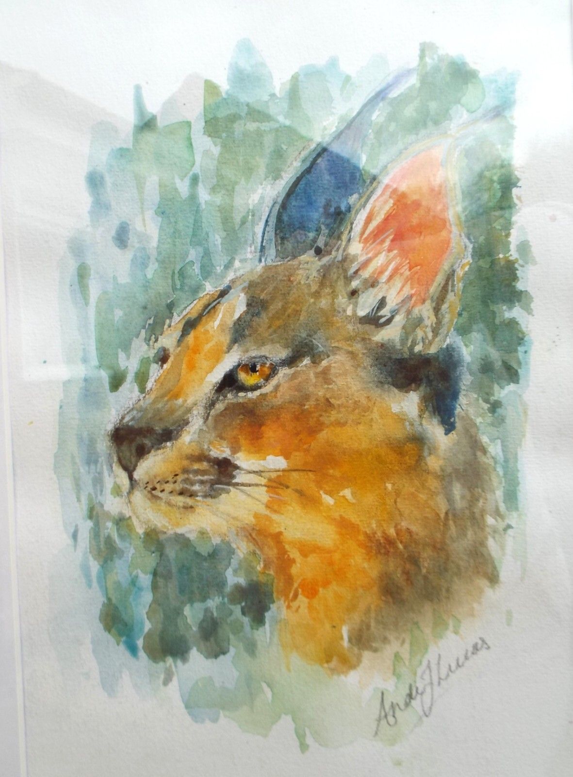 Caracal Watercolour Big Cat Painting Framed African Wildlife Original Andi photo for sale