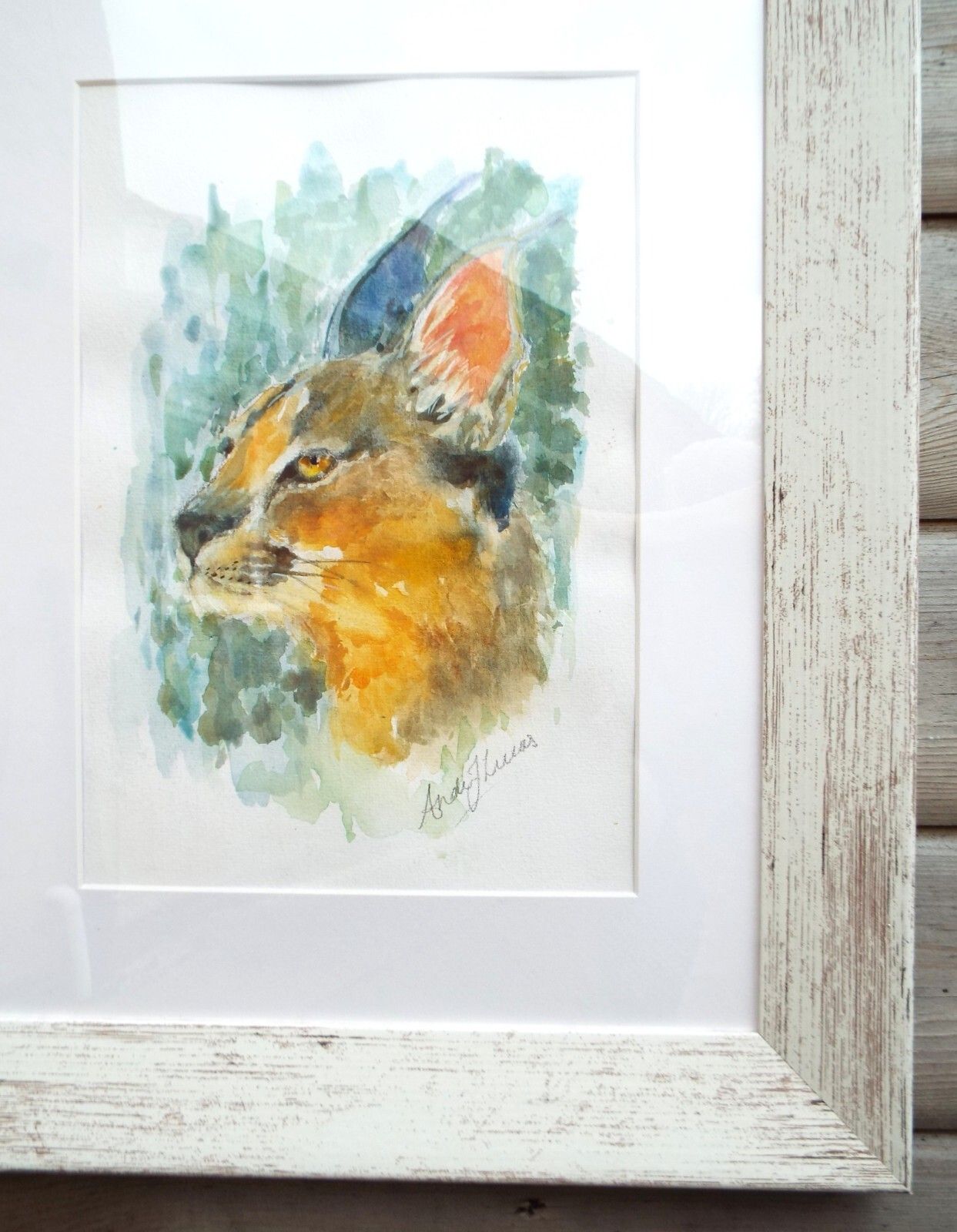 Caracal Watercolour Big Cat Painting Framed African Wildlife Original Andi photo vintage