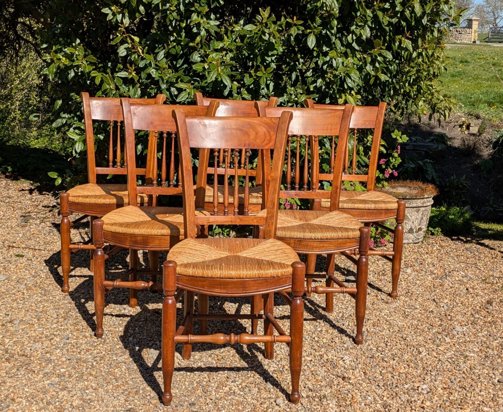 Antique French Fruitwood Dining Chairs Set 6