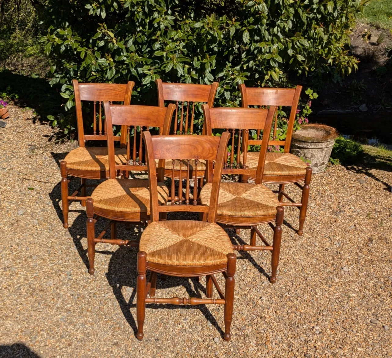 photo furniture Antique French Fruitwood Dining Chairs Set 6
