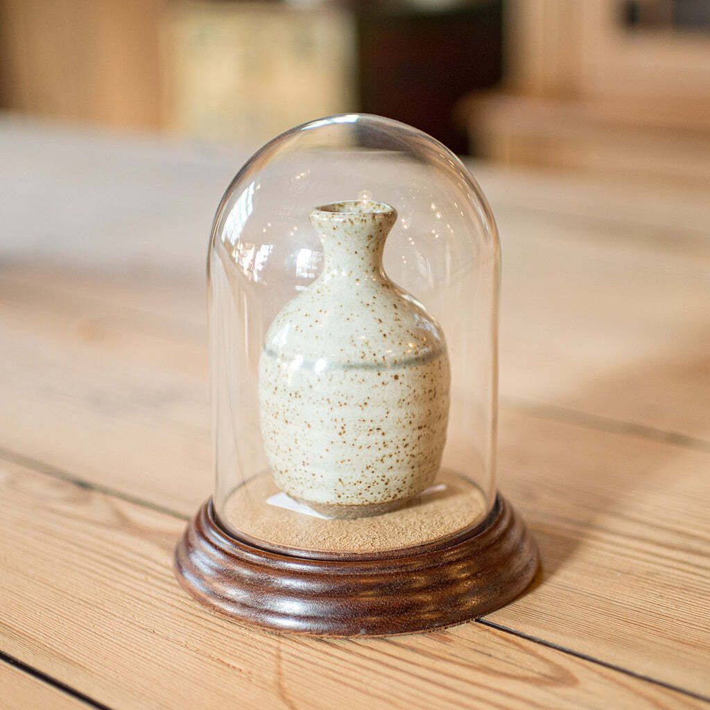 Small Antique Display Dome, English, Glass, Oak, Taxidermy, Showcase, Edwardian photo furniture