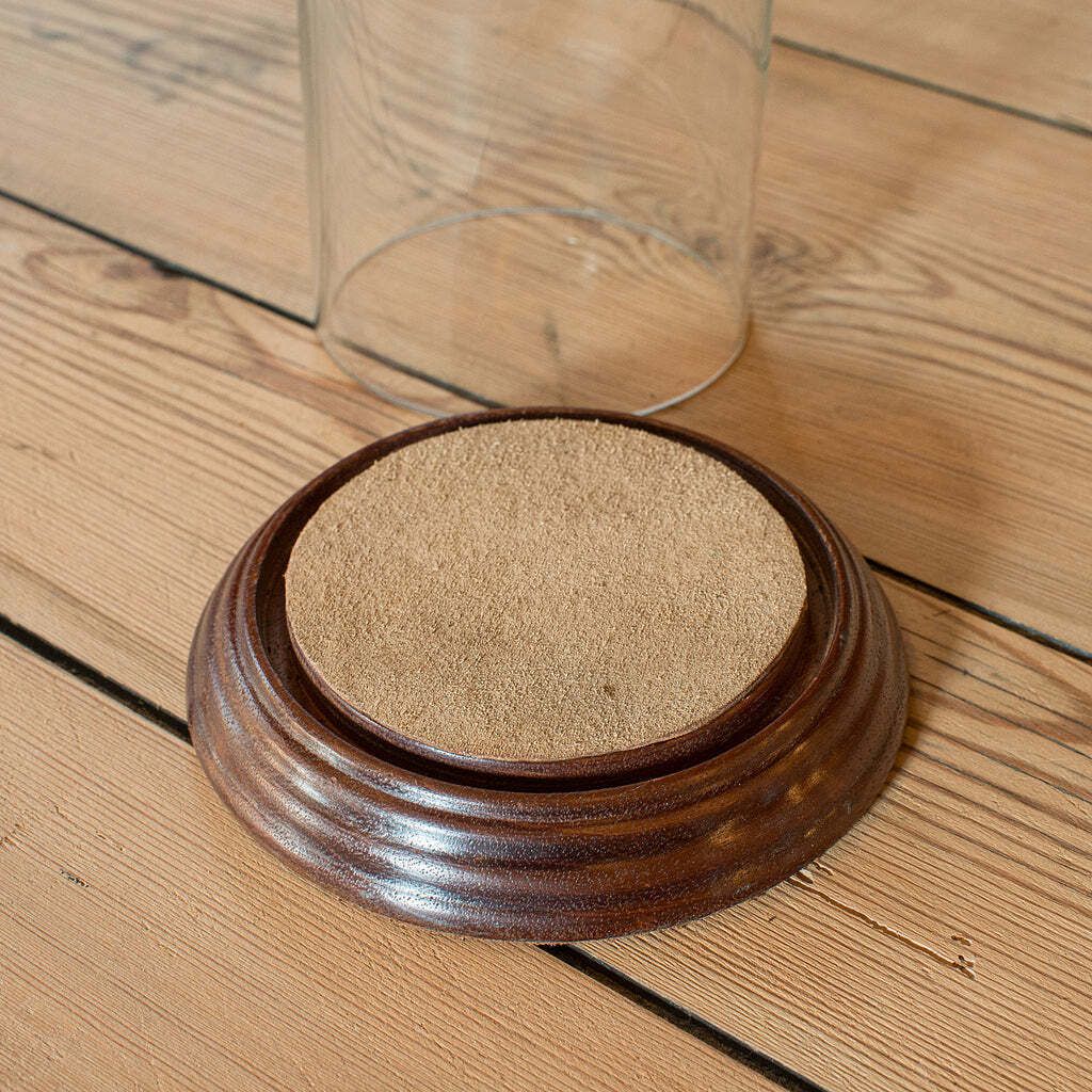 Small Antique Display Dome, English, Glass, Oak, Taxidermy, Showcase, Edwardian photo vinterior