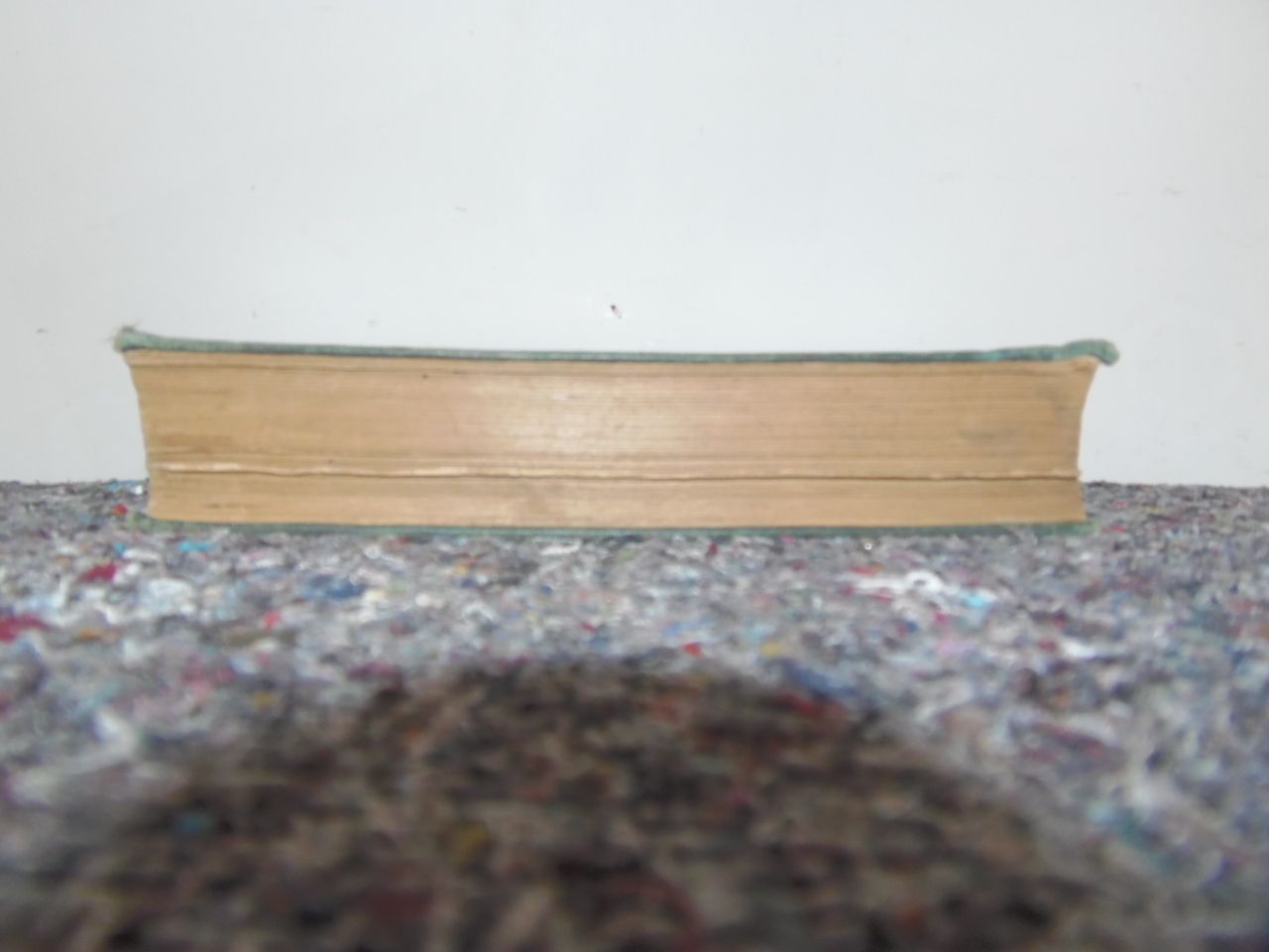 Botany Of The Living Plant Book By F.O.Bower photo Home Decor