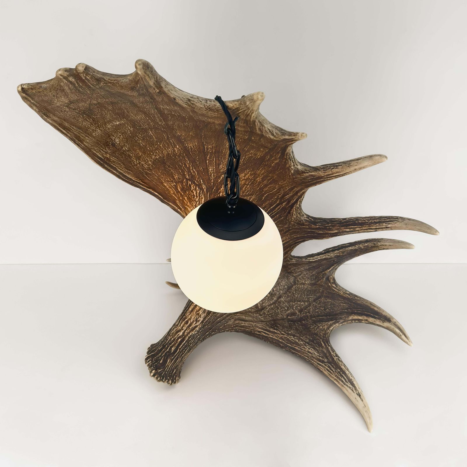 Black Forest Fallow Deer Antler Table Lamp, Frosted Glass Globe, Germany, 1950s photo buy