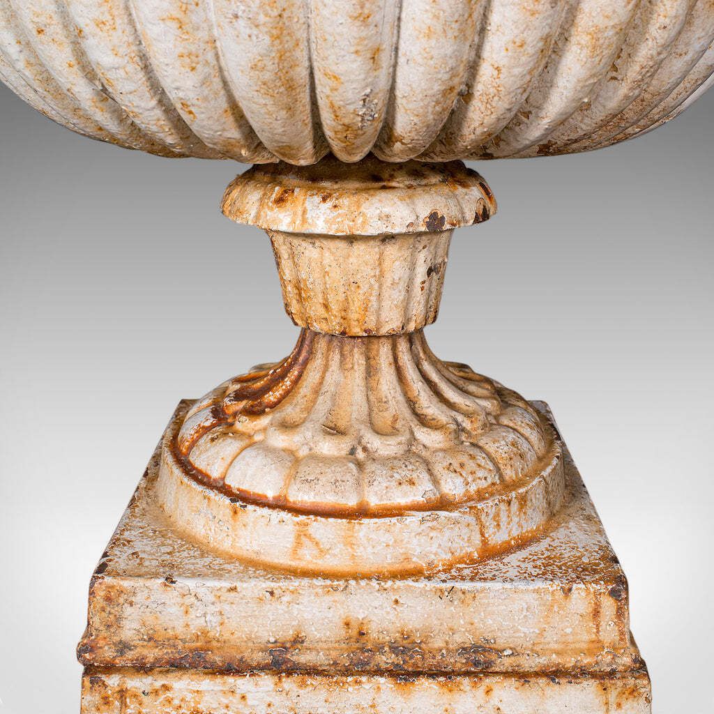 Pair Of Large Antique Garden Planters, English, Cast Iron, Jardiniere, Victorian photo vintage