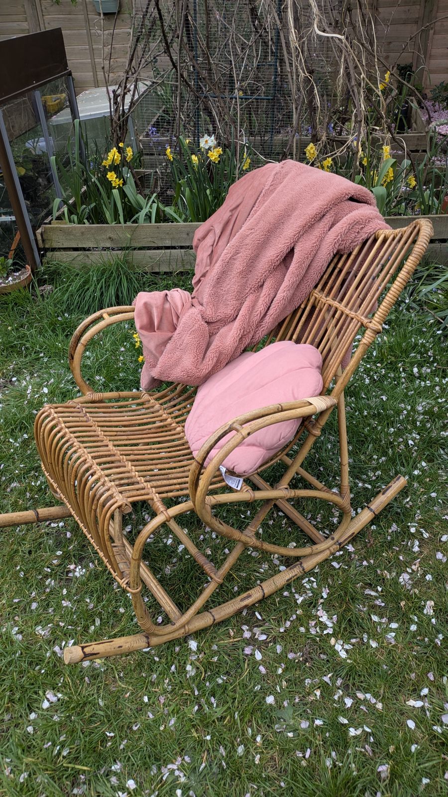 Furniture Bamboo Cane Rocking Chair, Franco Albini Style photo