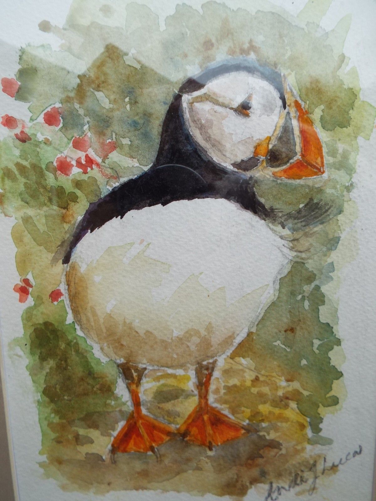 Puffin Watercolour Bird Painting Framed Wildlife Original Andi Lucas photo furniture