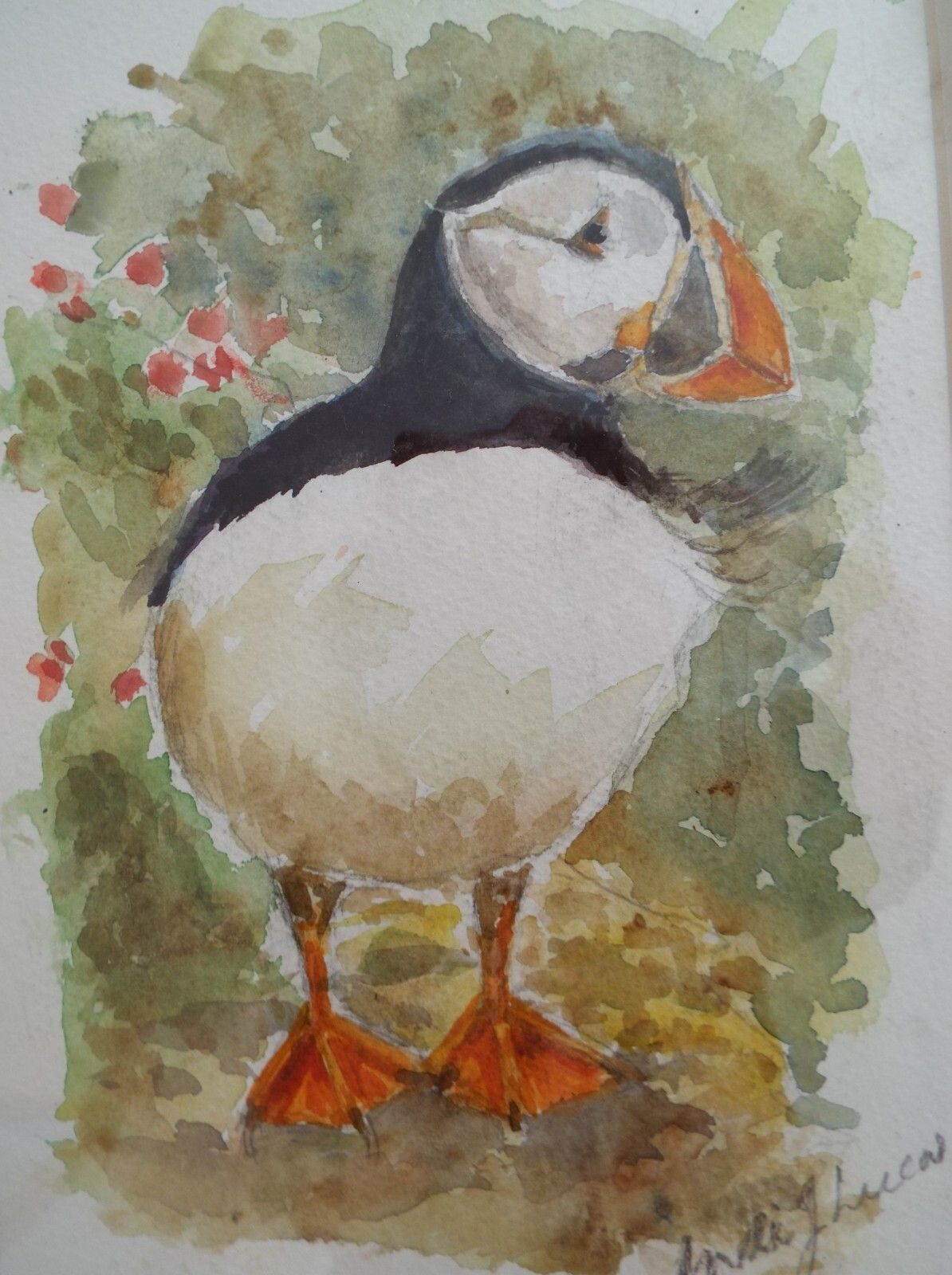 Puffin Watercolour Bird Painting Framed Wildlife Original Andi Lucas photo 125.0