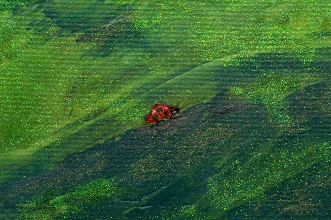 Ladybird Original Painting Ladybird Art Framed Original Art Framed Ladybird On A Leaf Painting Green Glitter Painting Andi J Lucas photo 150.0