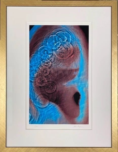 Pink Floyd   Meddle By Storm Thorgerson, Pink Floyd, Robert Dowling
