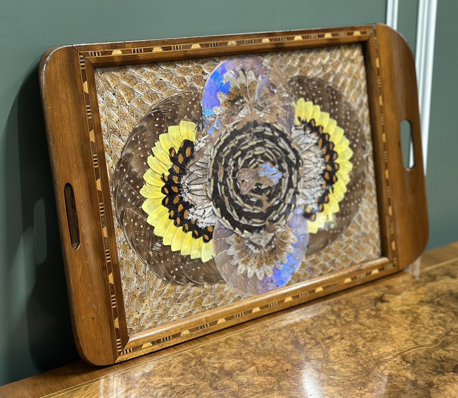 1940's Brazilian Inlaid Wood Tray With Real Morpho Butterfly Wings photo for sale