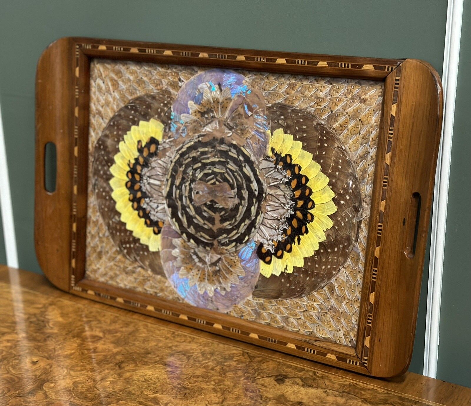 1940's Brazilian Inlaid Wood Tray With Real Morpho Butterfly Wings photo Home Decor