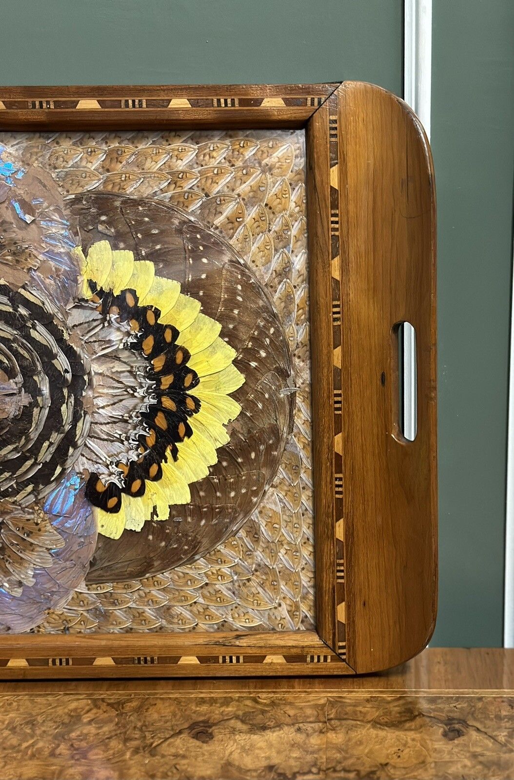1940's Brazilian Inlaid Wood Tray With Real Morpho Butterfly Wings photo vinterior