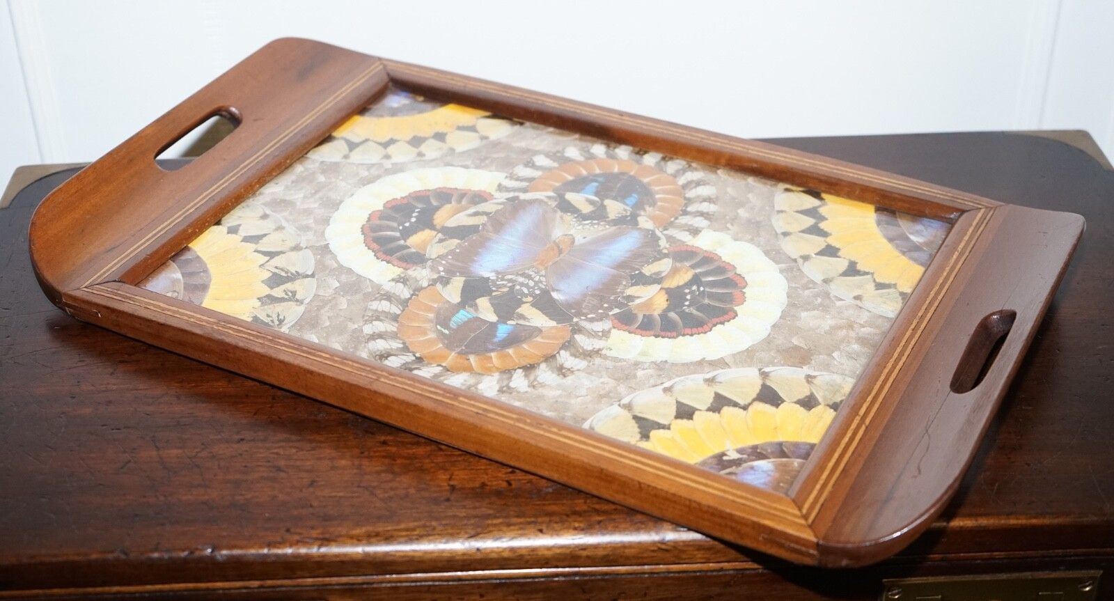 photo for sale Vintage Brazilian Inlaid Wood Tray With Real Morpho Butterfly Wings