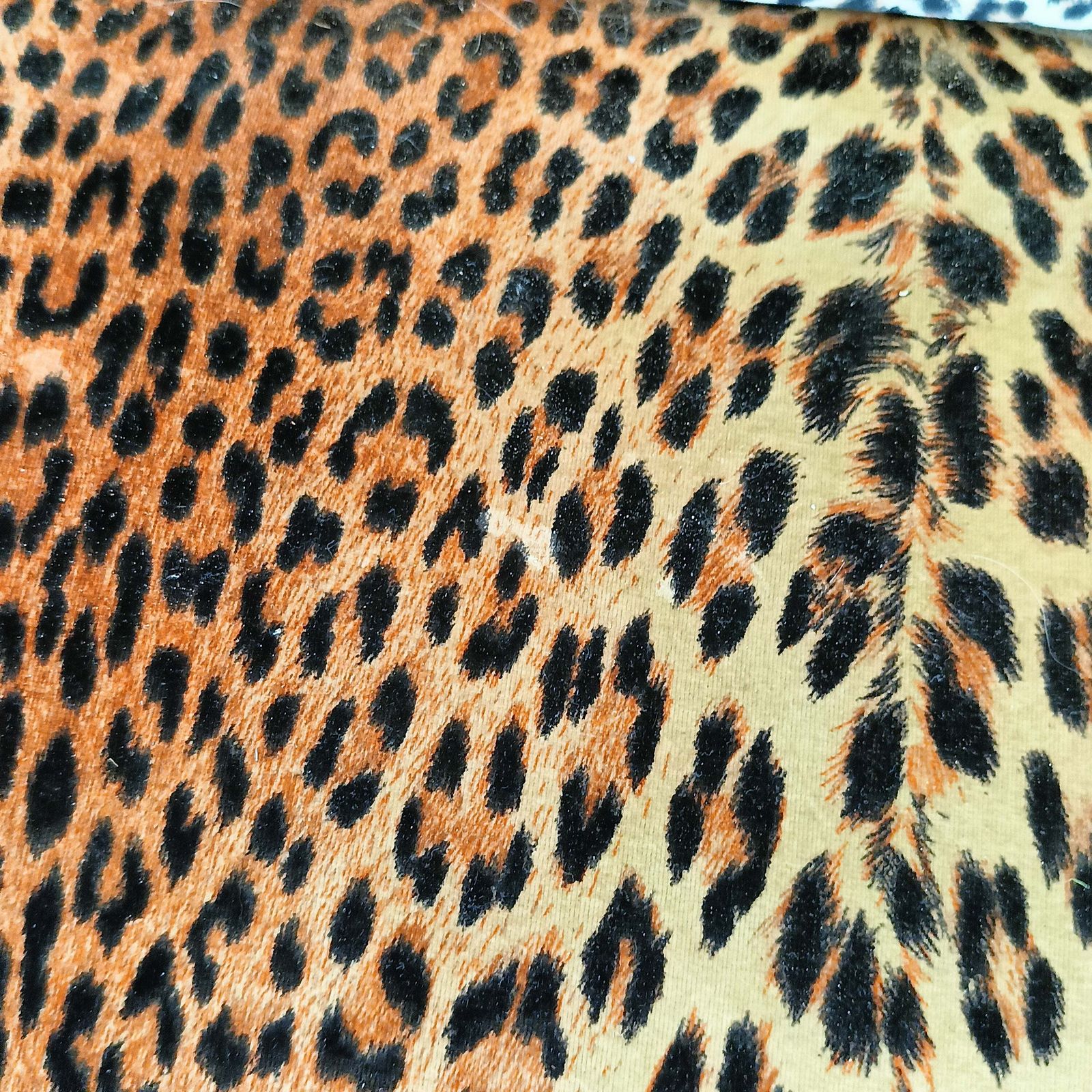 Furniture Biedermeyer Style Sofa In Leopard Trim photo