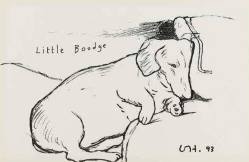 Vintage David Hockney Print   Little Boodge   Dachsund   Stunning Original Poster