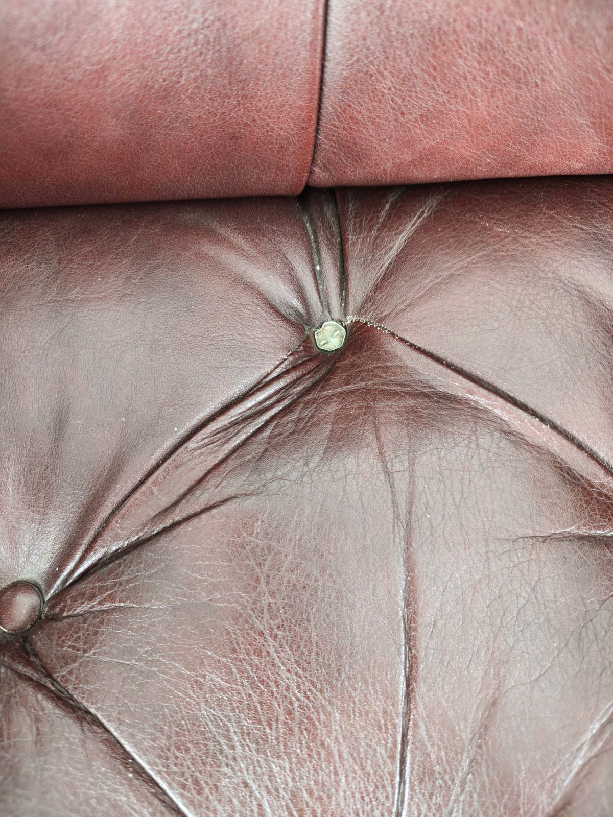 Pair Of Antique Library Chairs   Original William Morris & Co Edinburgh Stamped Armchairs photo 3612.0