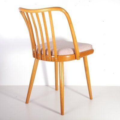 photo vinterior Mid Century Pink Chair By A. Suman For Cesky Nabytek, Former Czechoslovakia, 1960s
