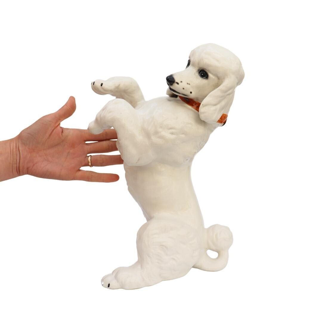 Large Mid Century British White Poodle Dog Standing 13.5 Inches Tall