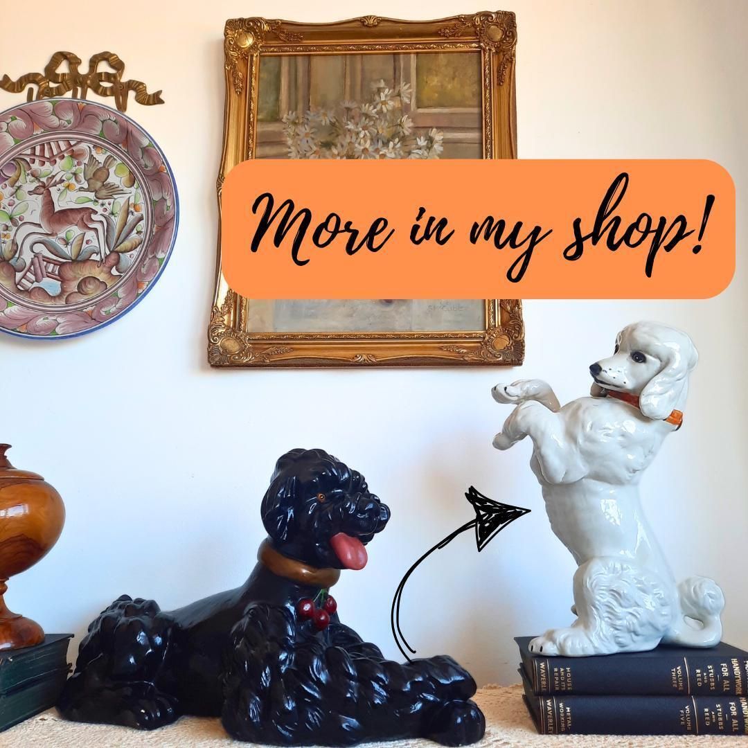 Large Mid Century British White Poodle Dog Standing 13.5 Inches Tall photo Art