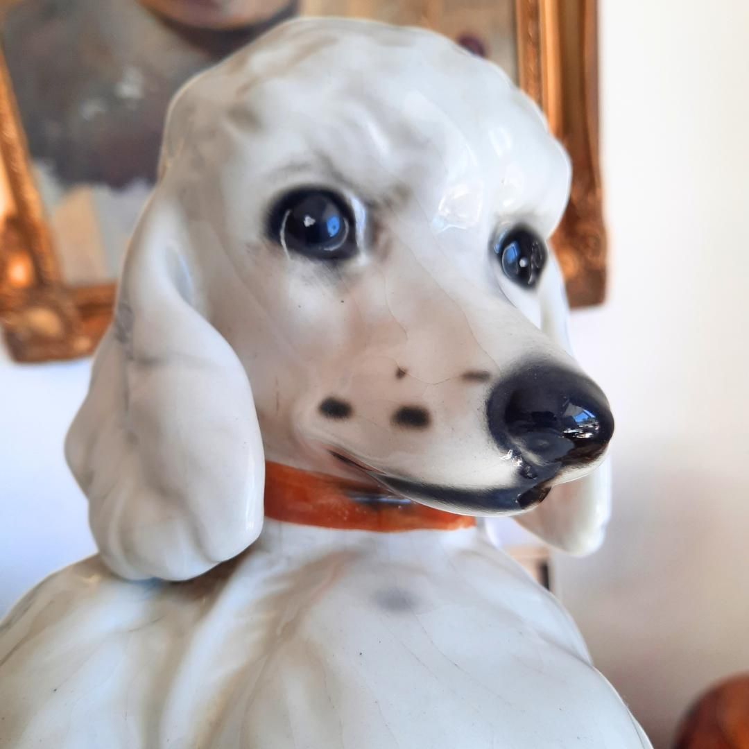 photo furniture Large Mid Century British White Poodle Dog Standing 13.5 Inches Tall