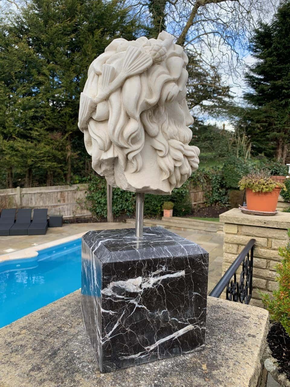 20th Century Marble Bust, Sculpture Of The Roman God Of The Water Neptune photo for sale