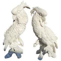 Pair Of Meissen Style Parrots   20th Century