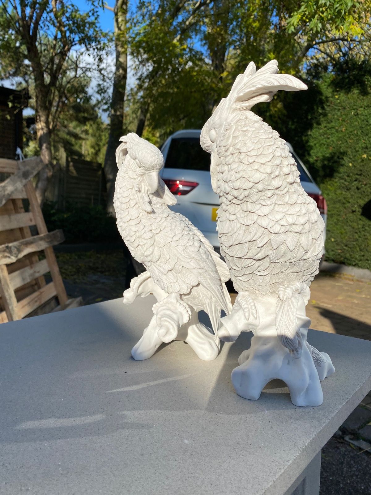 Pair Of Meissen Style Parrots   20th Century photo Art