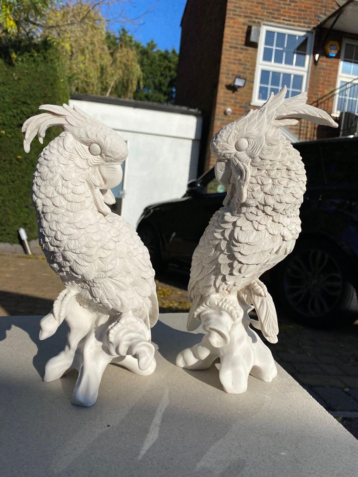 Pair Of Meissen Style Parrots   20th Century photo 650.0
