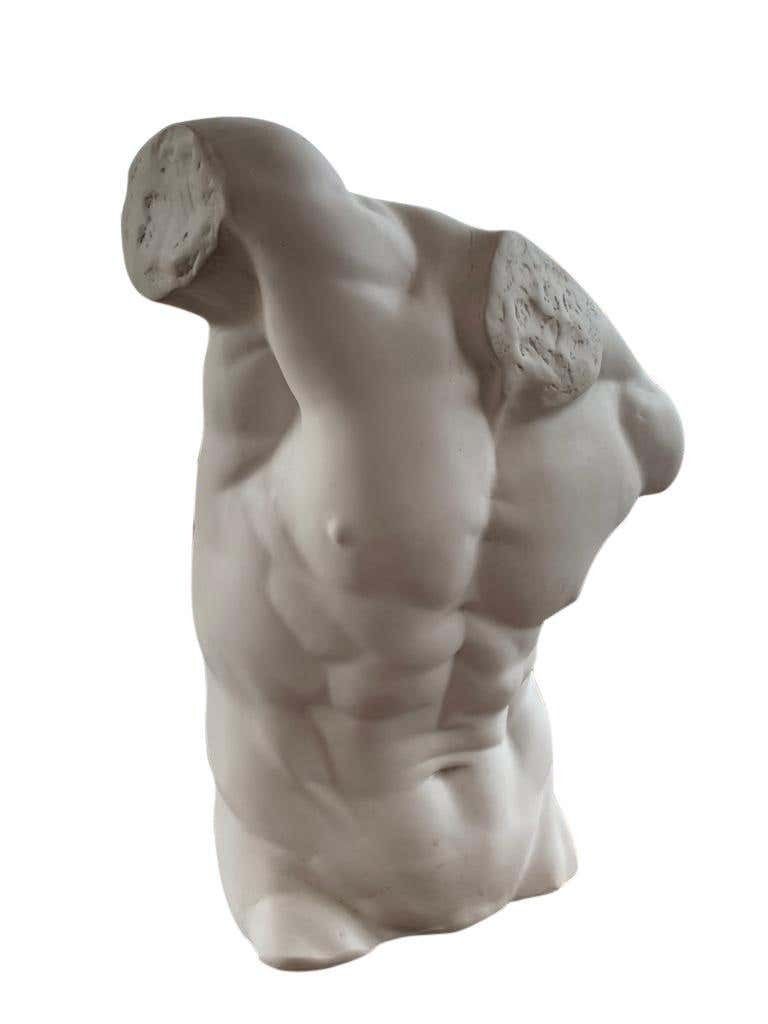 Male Torso Statue, 20th Century photo for sale
