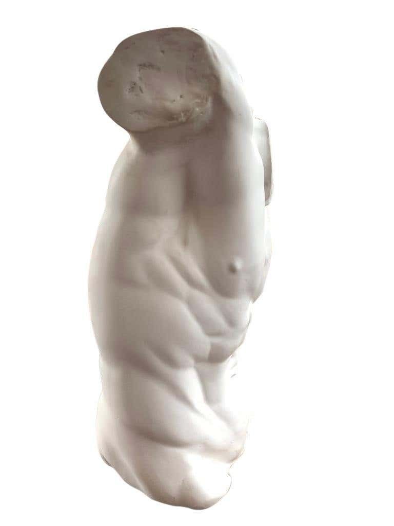 Male Torso Statue, 20th Century photo buy