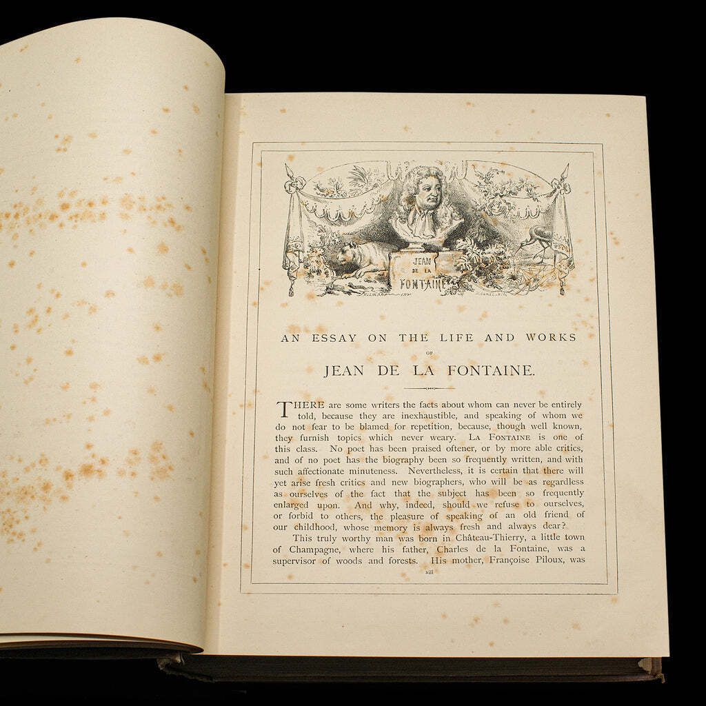 Antique The Fables Book, Historic Literature, English, Illustrated, Victorian photo vinterior