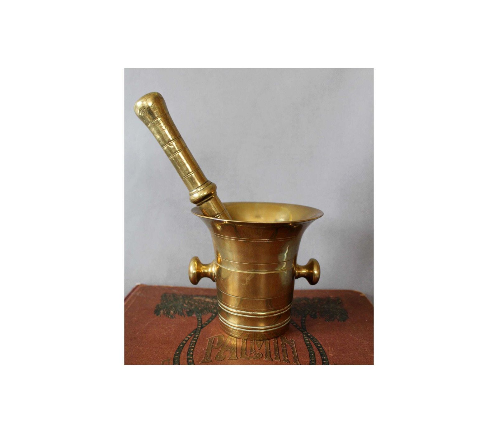 Antique Heavy Bronze Brass Mortar And Pestle, 2.8 Kilos, Apothecary, Pharmacy, Kitchen Accessory, Medicine, Spices, Solid Brass