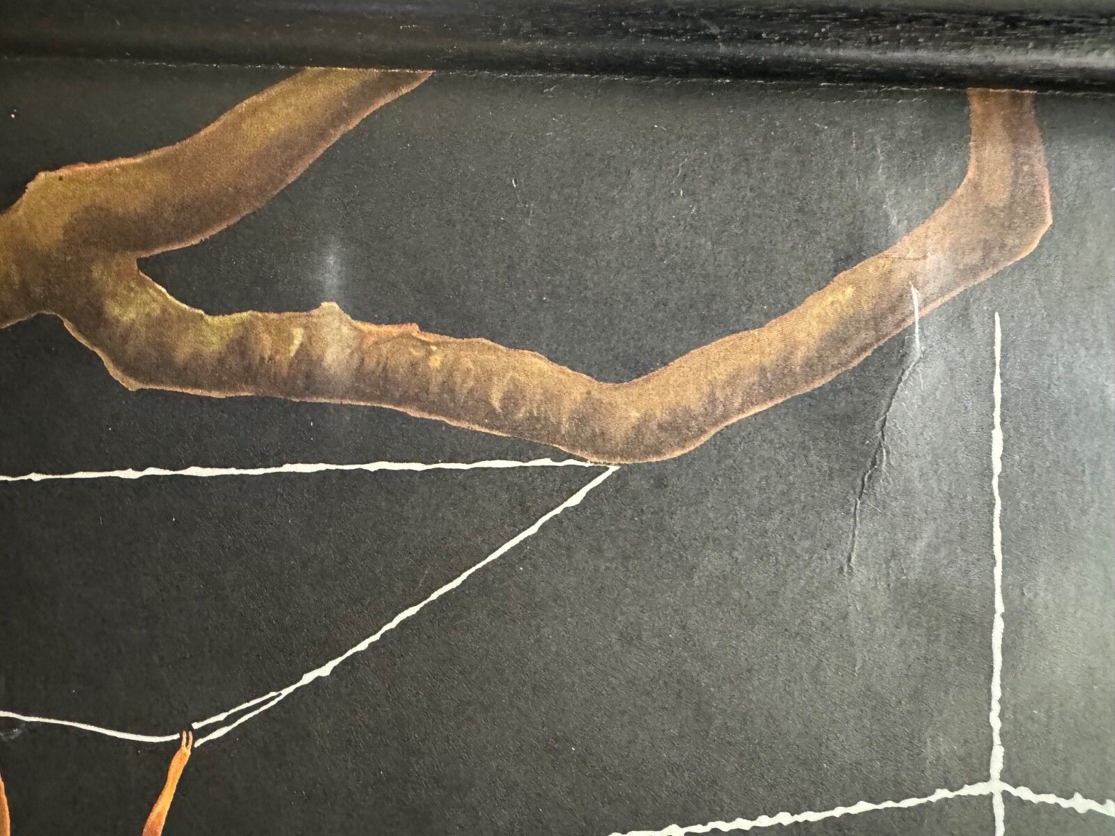 photo vintage Vintage European Garden Spider School Chart By Jung Koch Quentell Arachnid