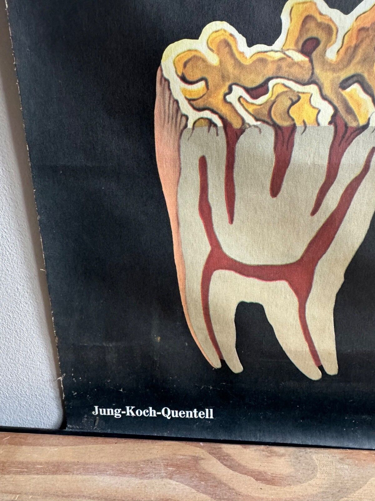 Vintage Horses School Chart By Jung Koch Quentell Poster Equine Anatomy. photo buy