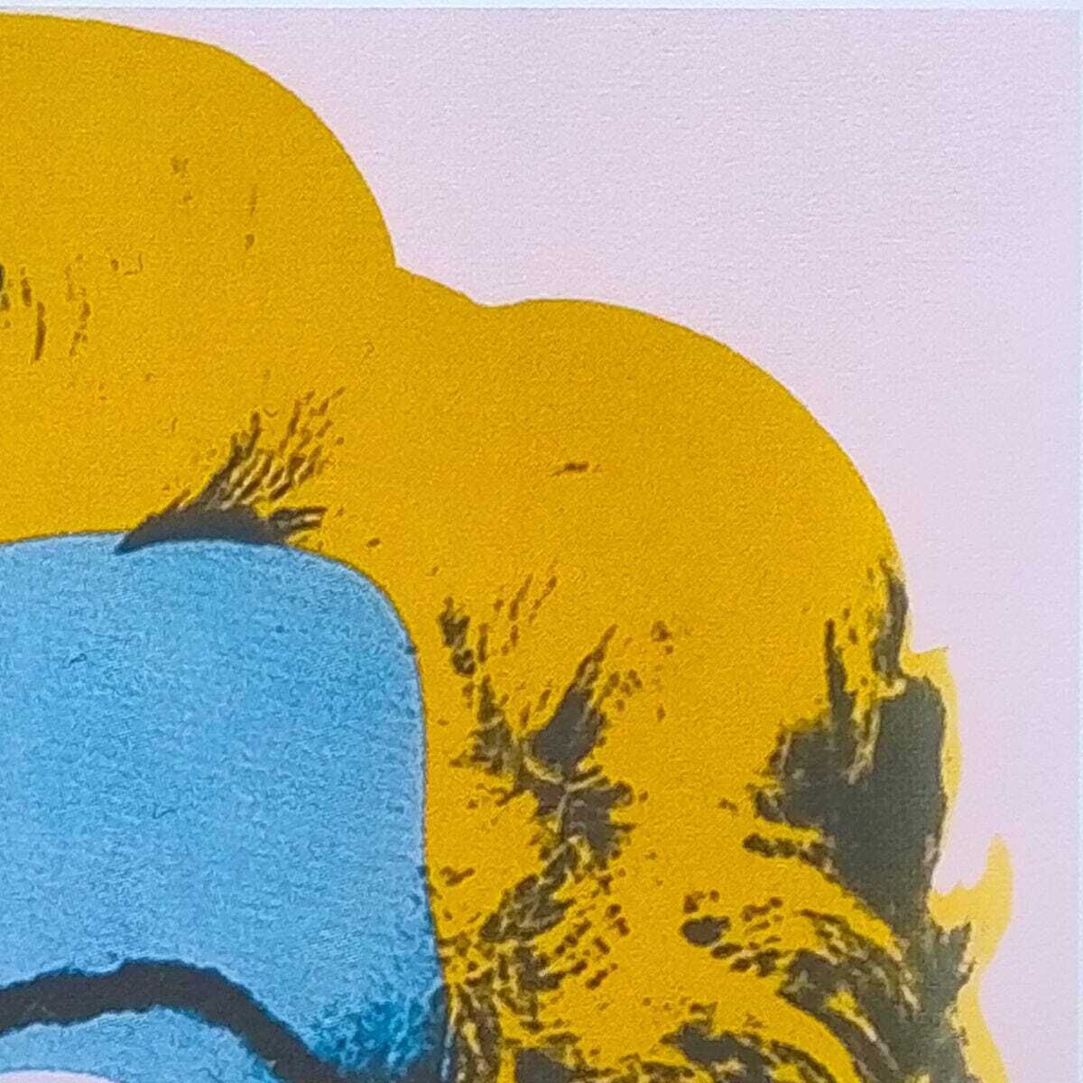 1980s Gorgeous Andy Warhol "Marilyn" Limited Edition Lithograph photo Art