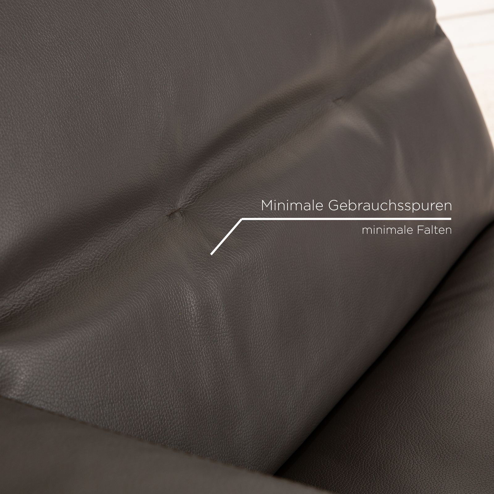 Who's Perfect Leather Lounger Brown Dark Brown Daybed Manual Function photo buy