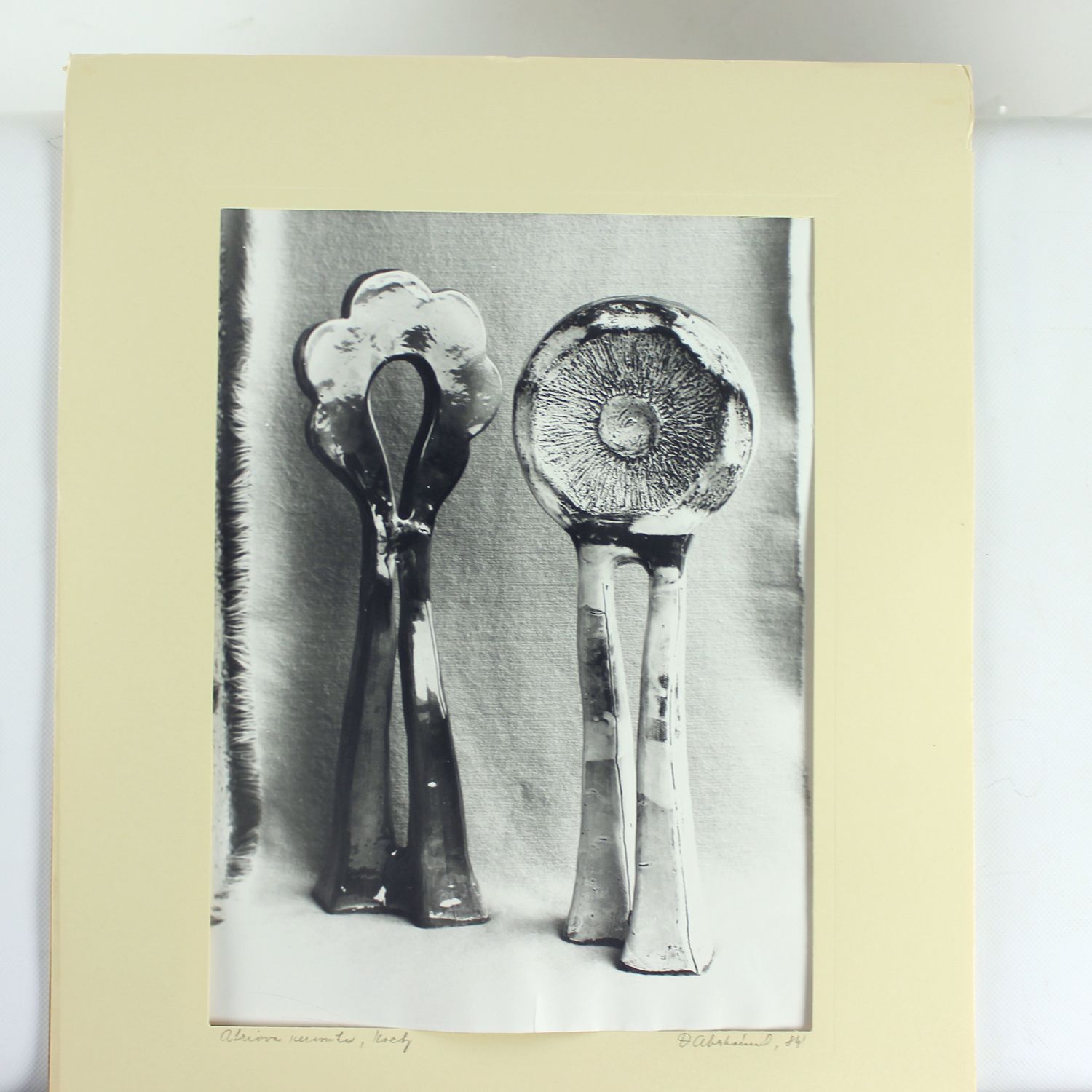 Set Of 2 Vintage Photograps Of Ceramic Artwork By Ditta Abrhamova, Czechoslovakia 1980s photo vinterior