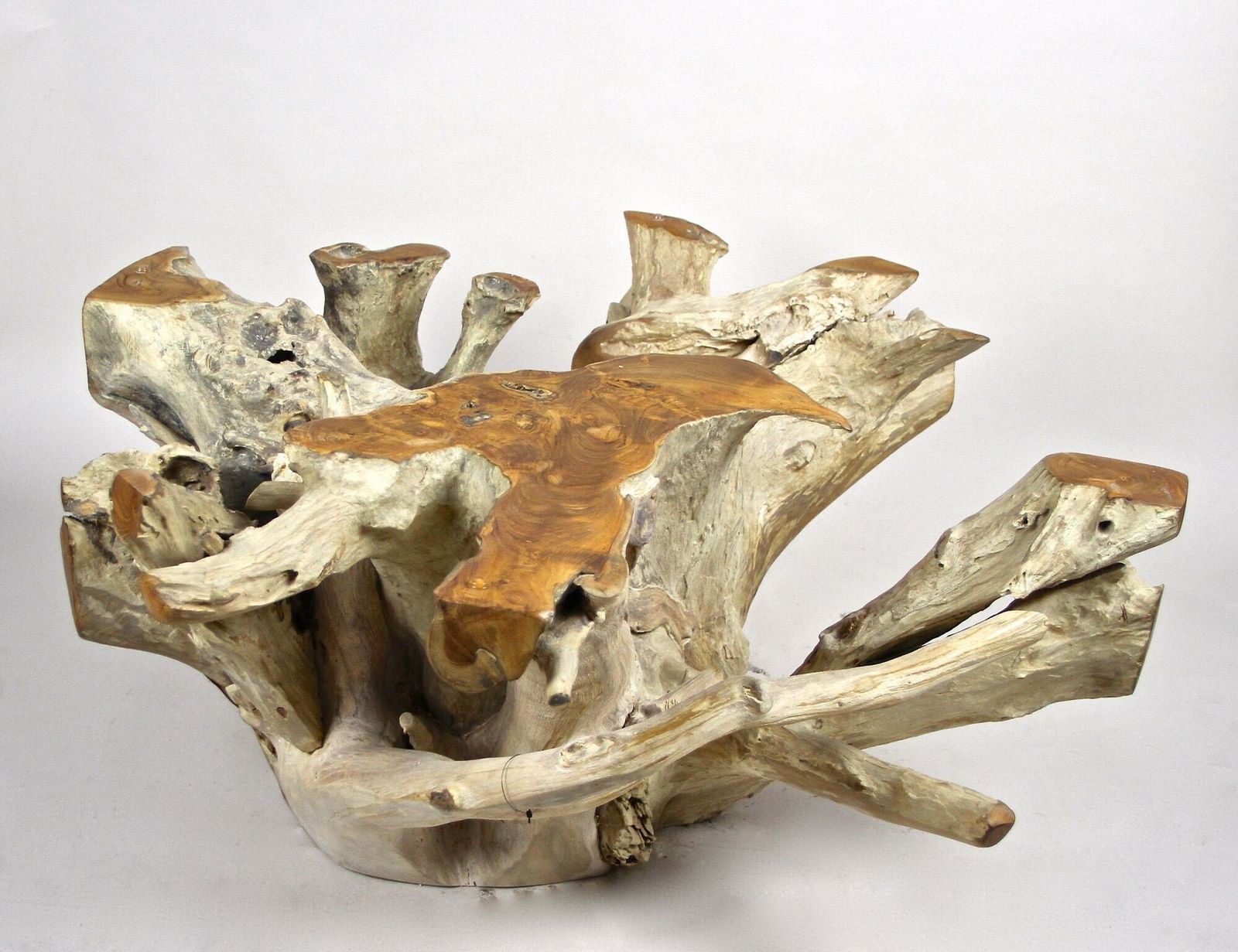 photo for sale 21st Century Round Teak Root Coffee Table With Glass, Organic Modern, 2024