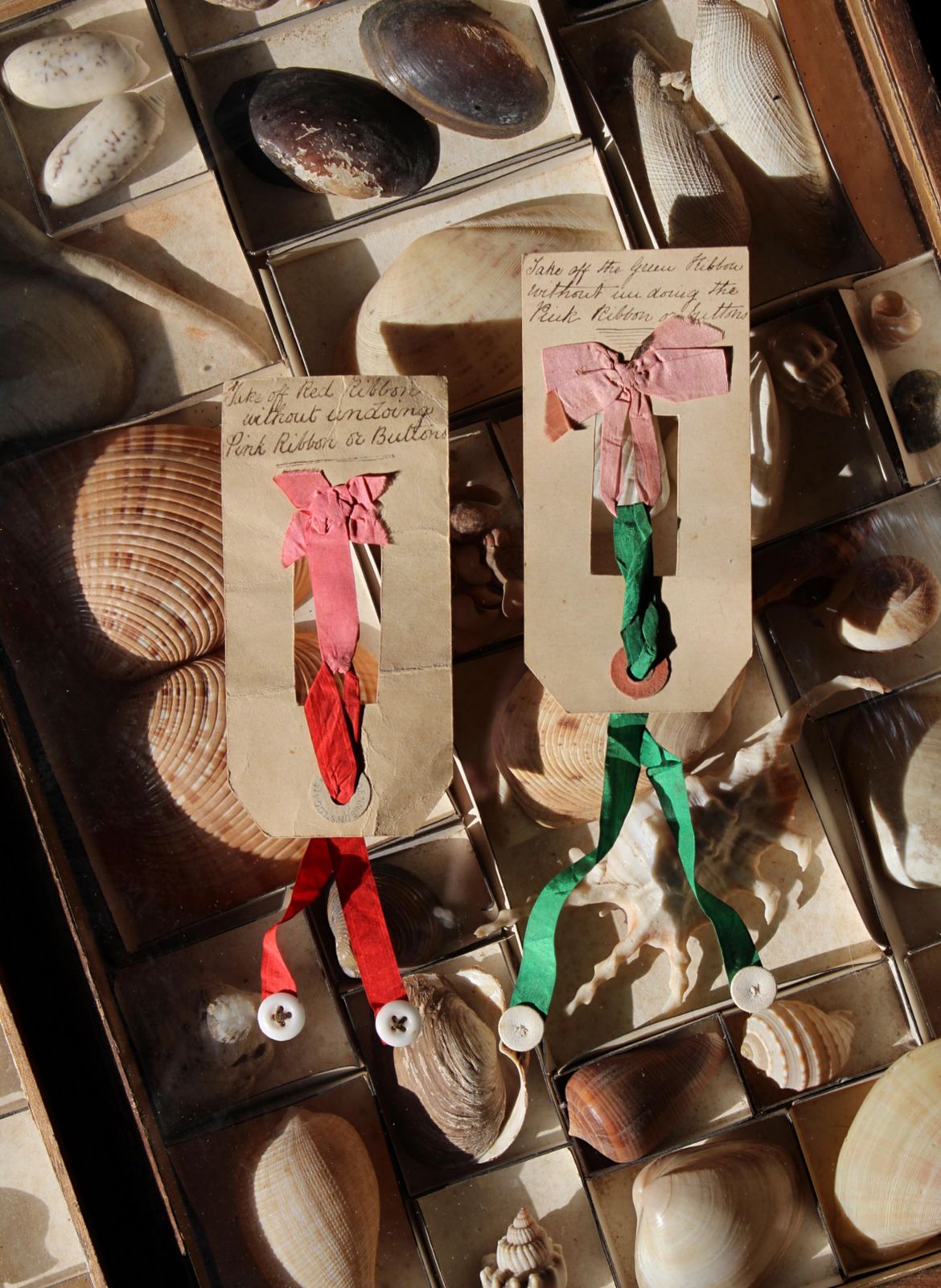 Early 20th Century Pair Of Ribbon & Button Puzzles Parlour Game photo furniture