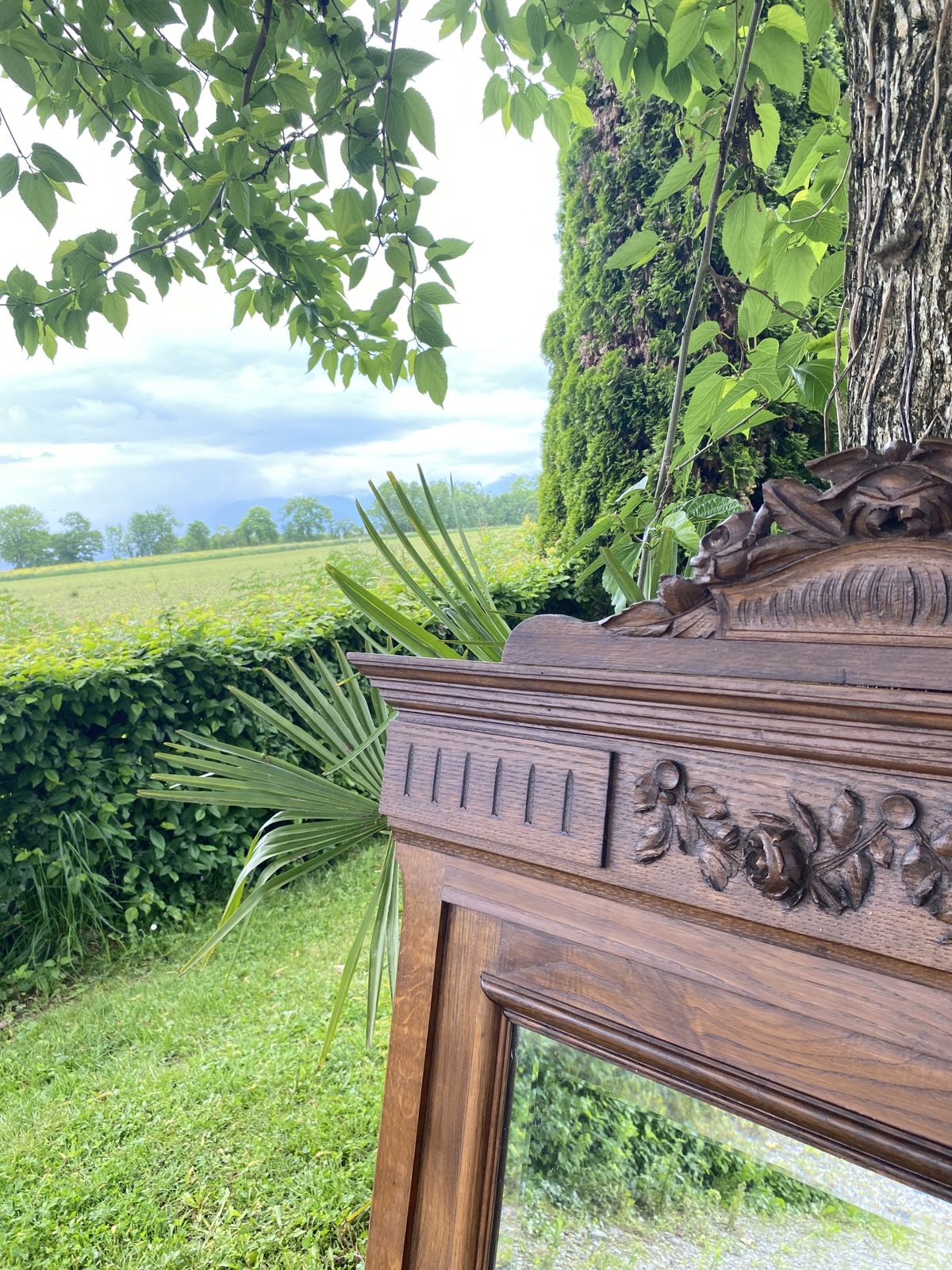 Large Bevelled Mirror In Carved Wood   Neo Renaissance Style, 19th Century photo Home Decor