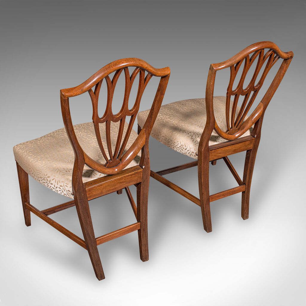 Antique Dining Chair Suite, English, Carver & Slipper Chairs, Georgian, C.1800 photo 4032.0