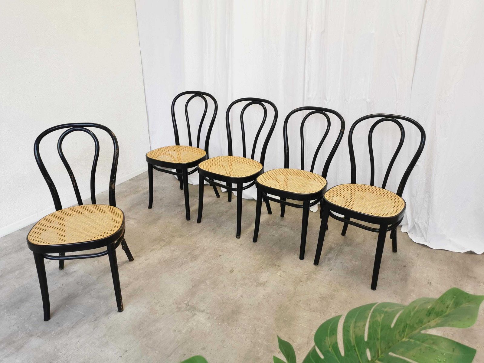 Vintage Dining Chair In Thonet N18 Style / Black Wooden Frame With Cane Seat