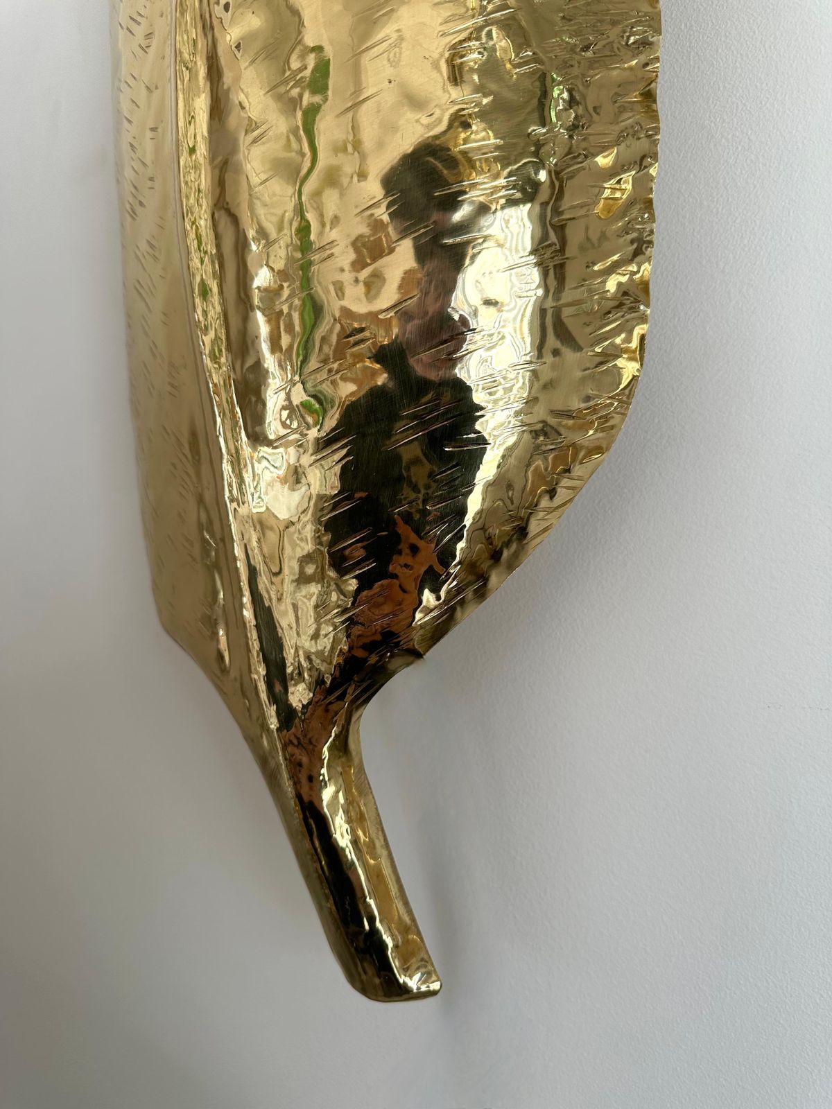 photo vinterior Large Contemporary Pair Of Brass Palm Sconces, Italy