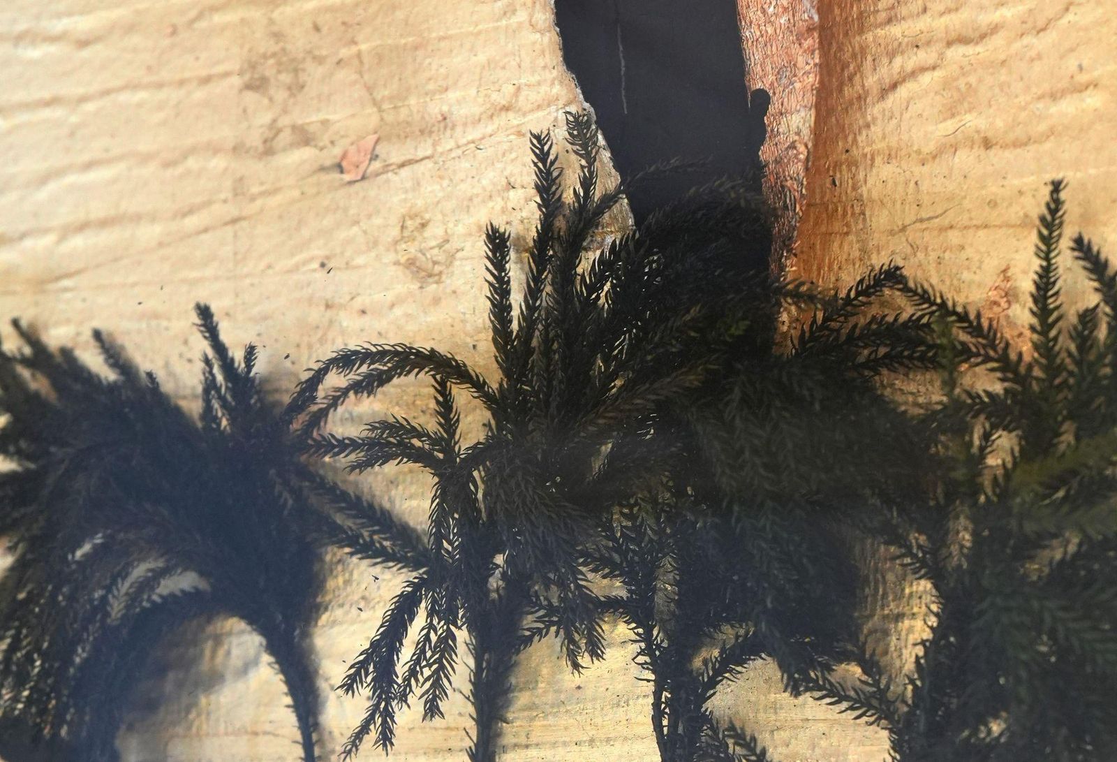 Captivating Mixed Media By Acclaimed Italian Artist Guido Coletti (1998 2000) photo vinterior