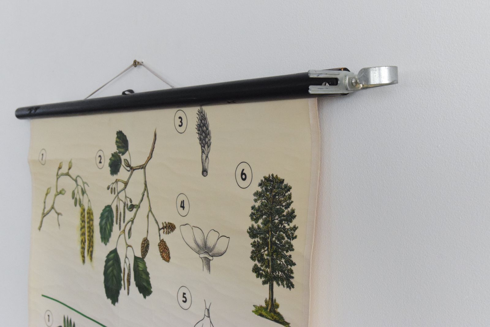Vintage Botanical Wall Hanging Of Flowers And Pollen photo furniture