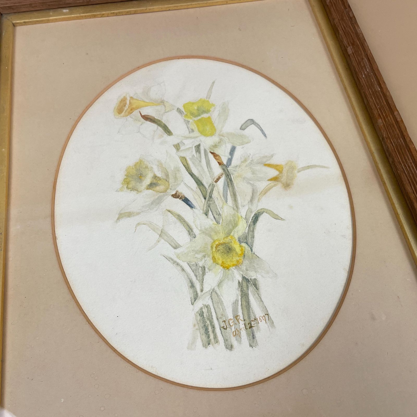 Antique Watercolour Painting J.G.R 1897 Floral Dandelion Wooden Frame Rectangle Portrait Painted Art Original Wall Art Oval Mounted photo Art